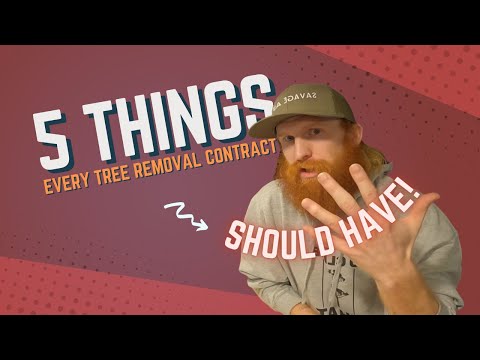 5 Things Every Tree Removal Contract Should Have