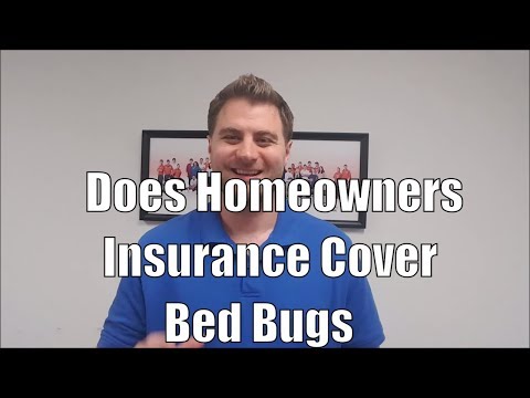 Do you need to have regular pest control service and does homeowners insurance cover bed bugs