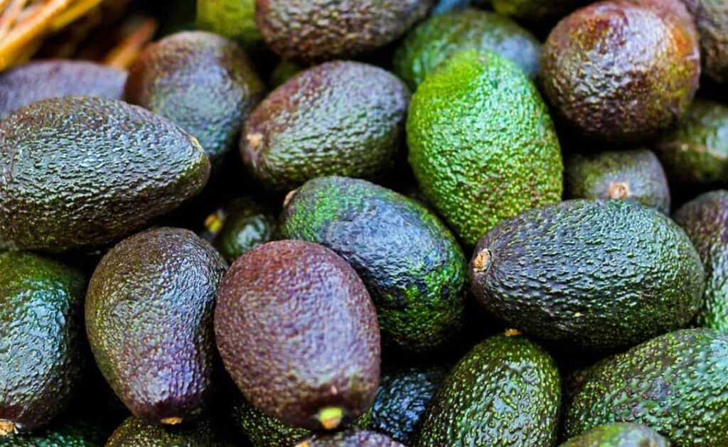 Types of Avocado Investments