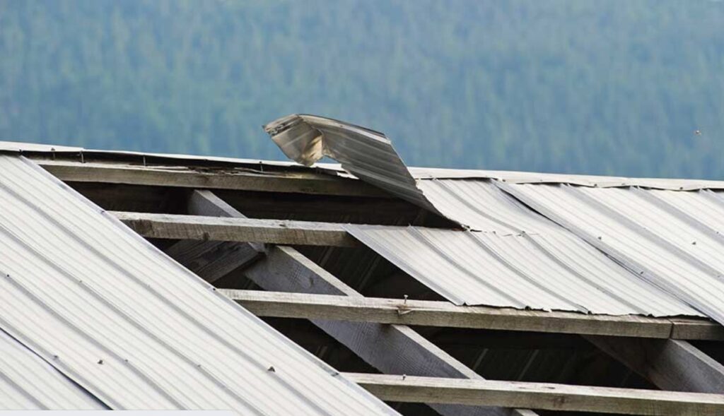 The Longevity and Material of Metal Roofs