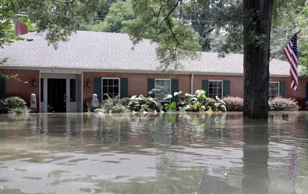 Transferable Flood Insurance and Risk Management